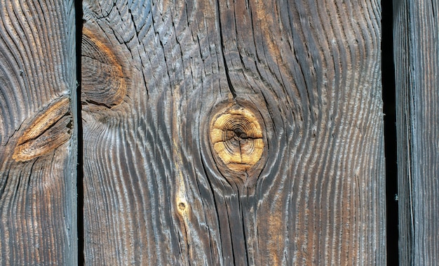 The brown wood texture with natural patterns