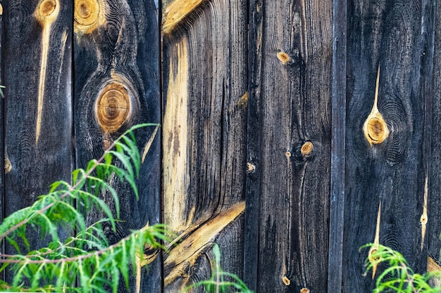 Brown wooden background from dark natural wood with elements of fern leaves Shooting table surface