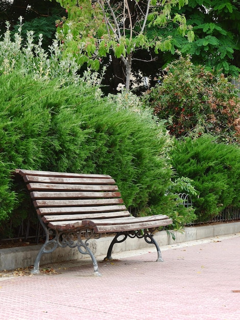 Brown wooden bench in green Trafalgar park downtown Madrid Spain Vertical photo