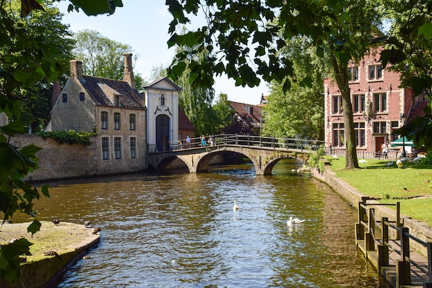 Brugge landscape