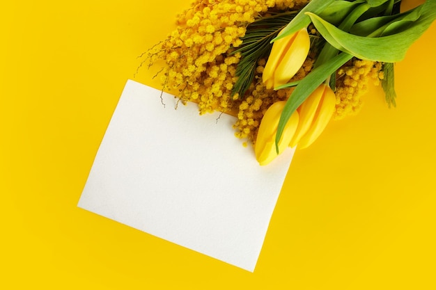 Brunches of beautiful mimosa and tupil flower with empty card on yellow background