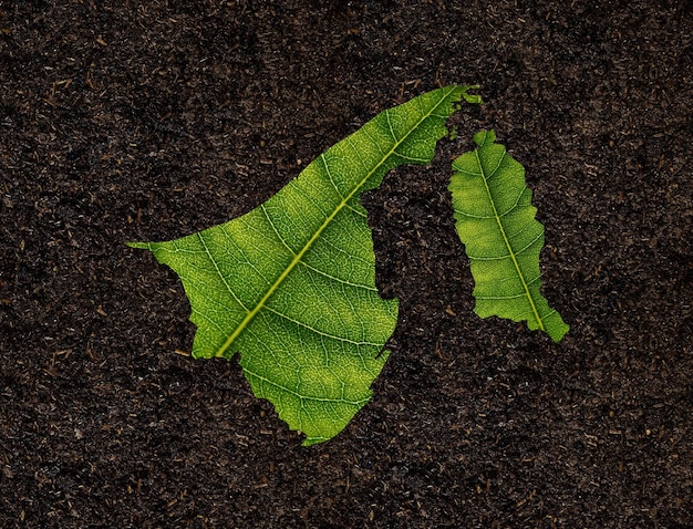 Brunei map made of green leaves on soil background ecology concept