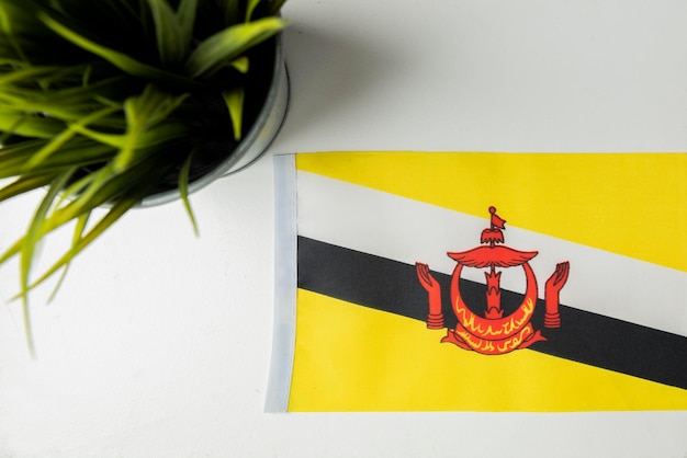 Brunei national flag