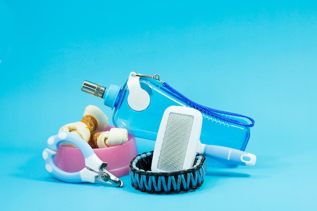 Brush comb, bowl with snacks, collars, nail scissors and water bottles on blue background