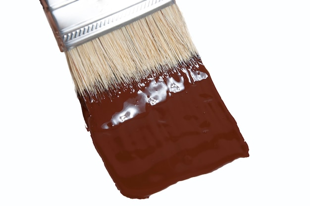 Brush paints with brown paint on a white