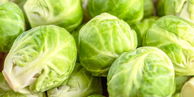 Brussels sprouts close up background of fresh green fruits of brussels sprouts