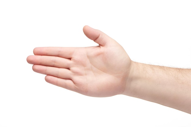 Brutal man hand isolated on white background Opened male palm Finger gestures