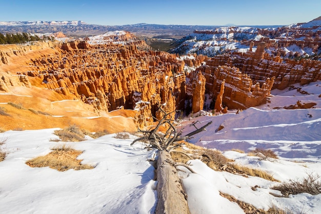 Bryce Canyon Hoodoos in Winter on Sunny Day. Snow. Bryce Canyon National Park. Utah, USA.