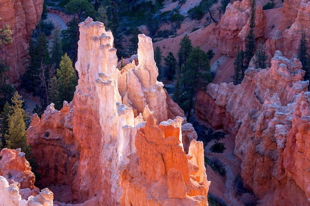 Bryce Canyon Sculpted by the Elements