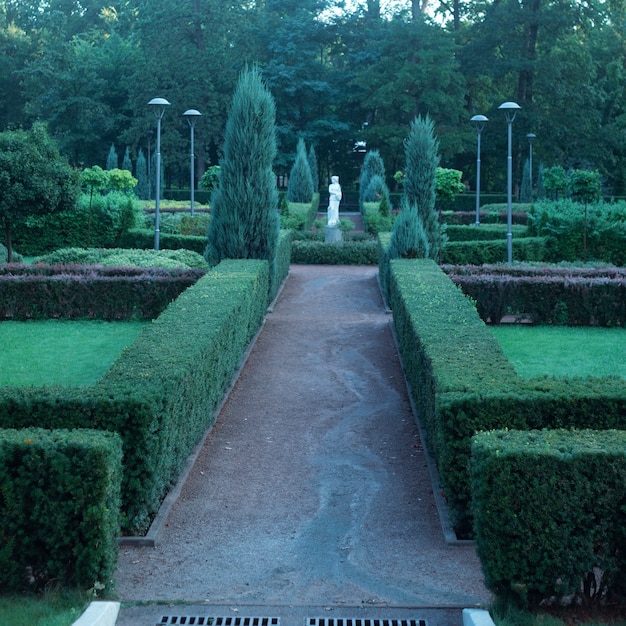 Bucha Central Park, French style. Evergreen plants