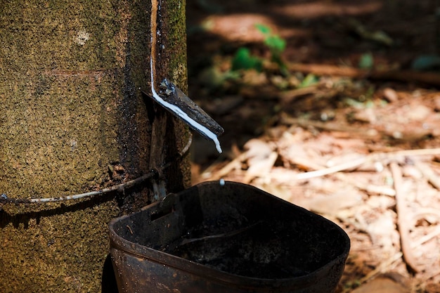 Photo a bucket with a handle that says  e