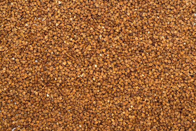 buckwheat fresh buckwheat dry buckwheat background buckwheat texture