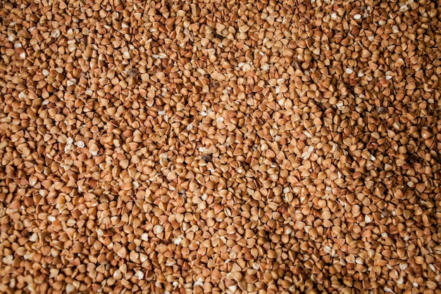 buckwheat grains background fresh buckwheat buckwheat texture