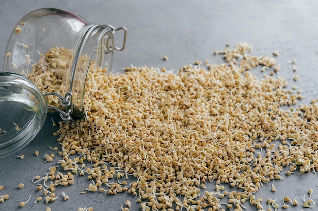 Buckwheat groats spilled from glass jar Germinated organic seeds Healthy diet concept Selective focus Green fresh sprouts