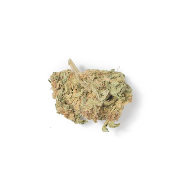 A bud of marijuana on a white background Isolated