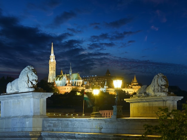 Budapest Chain Bridge night view