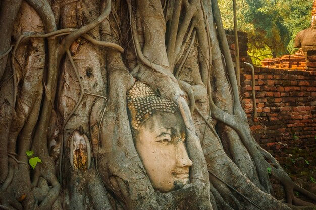 Buddha Head in Tree Roots, Wat Phra Mahathat temple, Ayutthaya, Thailand