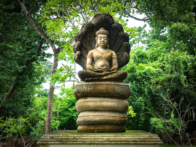 Buddha statue sheltered by naga hood in forest