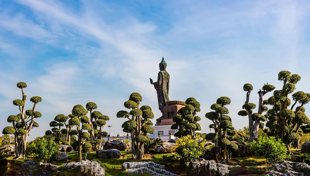 Buddha statue surrounding with trees