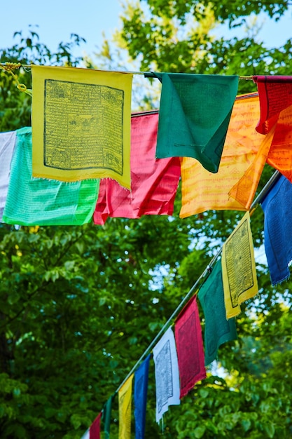 Buddhist prayer flags in all colors on wire