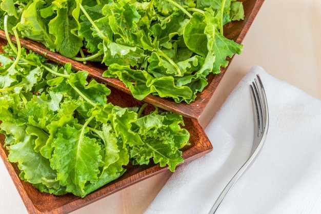 Buds of kale (cabbage). Salad with a rustic and healthy aspect.