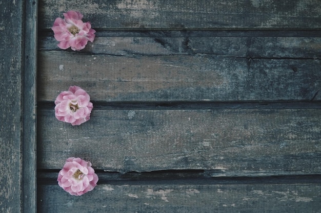 Buds of spray pink terry roses on a wooden background Three beautiful roses are laid out on the table in a vertical line Copy space for text Postcard surface layout