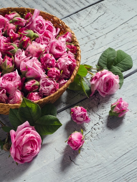 Buds of the tea roses in basket