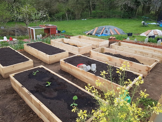 build raised wooden beds to make a vegetable garden at home fill with fertile soil to cultivate