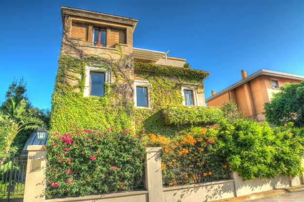 Building covered by ivy leaves and flowers in Sardinia Italy