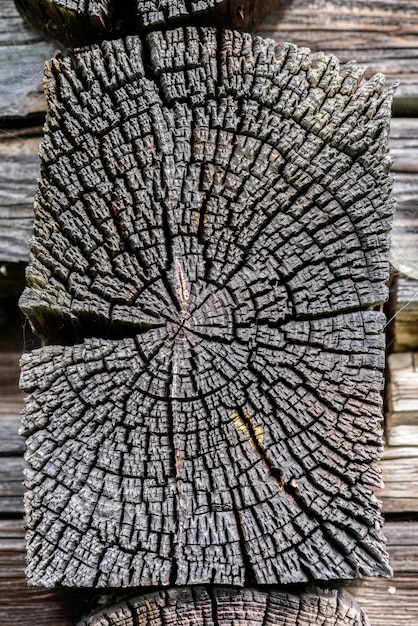 Building detail. Section of the old pine tree trunk with annual rings and cracks.