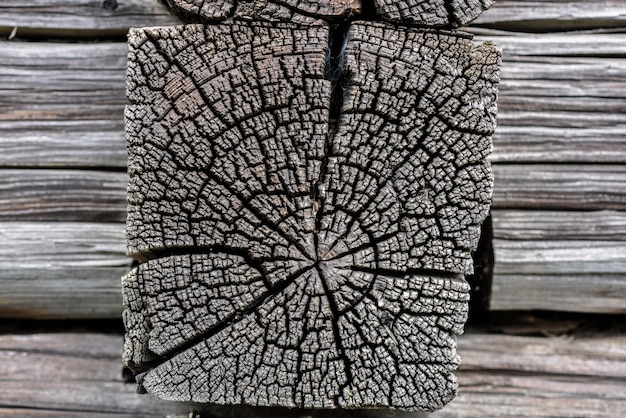 Building detail. Section of the old pine tree trunk with annual rings and cracks.