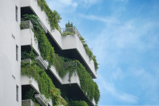 building with plants growing on the facade