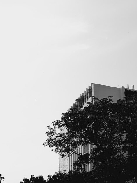 A building with a tree on the top