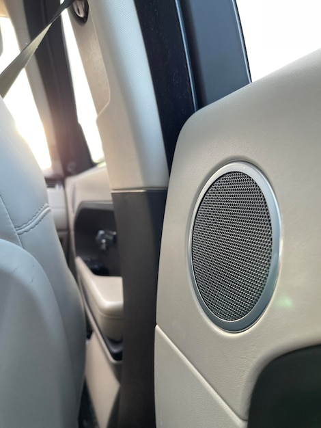 Builtin stereo speaker in car door of a luxury automobile