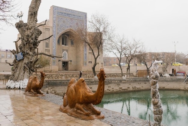 Bukhara Uzbekistan December 2022 Labi House