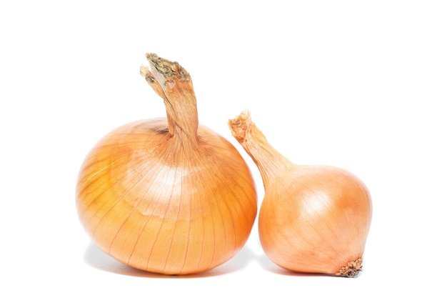 Bulbs of beautiful golden onions are isolated on a white background