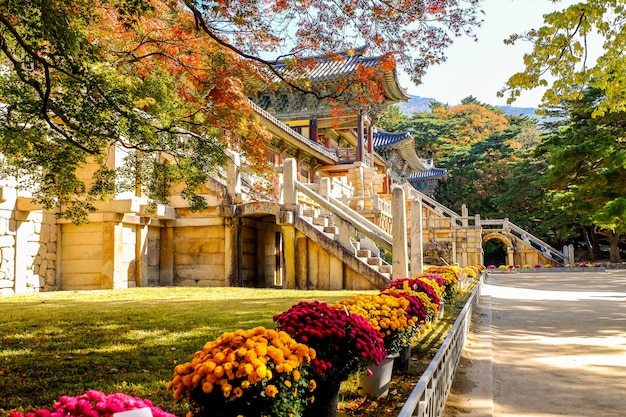 Bulguksa temple ,World Heritage