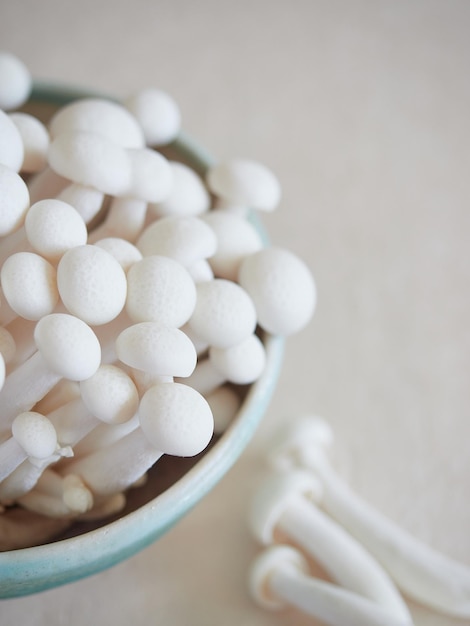 Bunapi Shimeji mushroom in a bowl. Close up view.