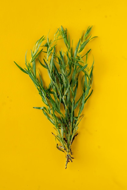 Bunch of aromatic tarragon on the table, aromatic herb for cooking, special ingredient