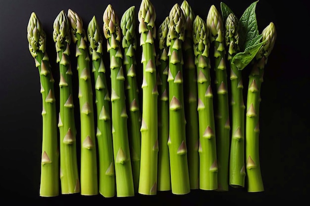 Bunch of asparagus on a dark background