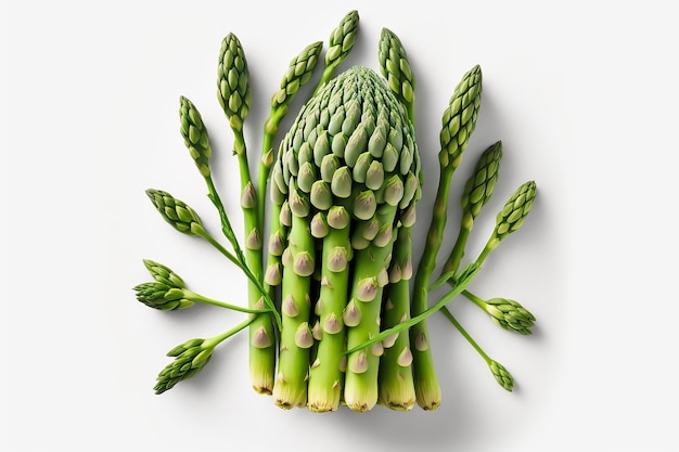 A bunch of asparagus is shown with the word asparagus on the top.