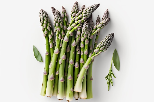 A bunch of asparagus on a white background