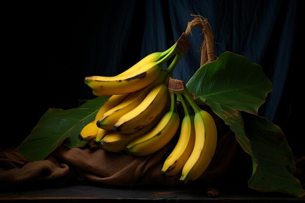 Bunch of bananas displayed against a dark backgroun natural snack fresh fruit Banana image