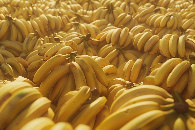 a bunch of bananas that are in a bunch