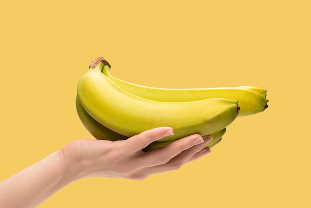 A bunch of bananas in woman hand isolated on yellow background