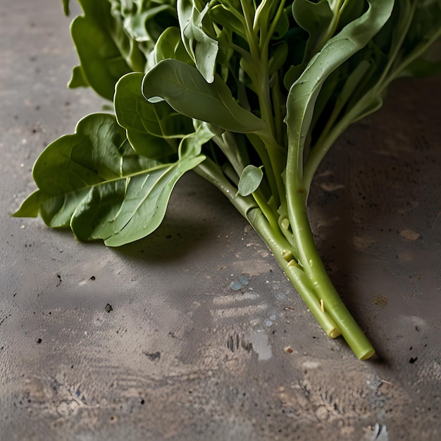 a bunch of basil leaves on a black background