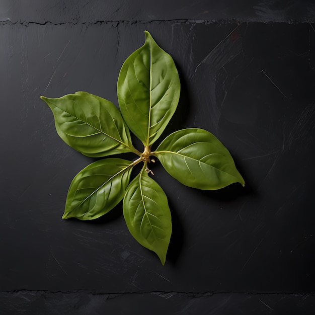 a bunch of basil leaves that are on a table