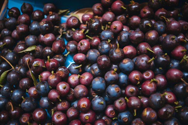 A bunch of black cherries are in a blue container.