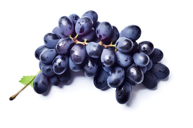 Bunch of black grapes on white background