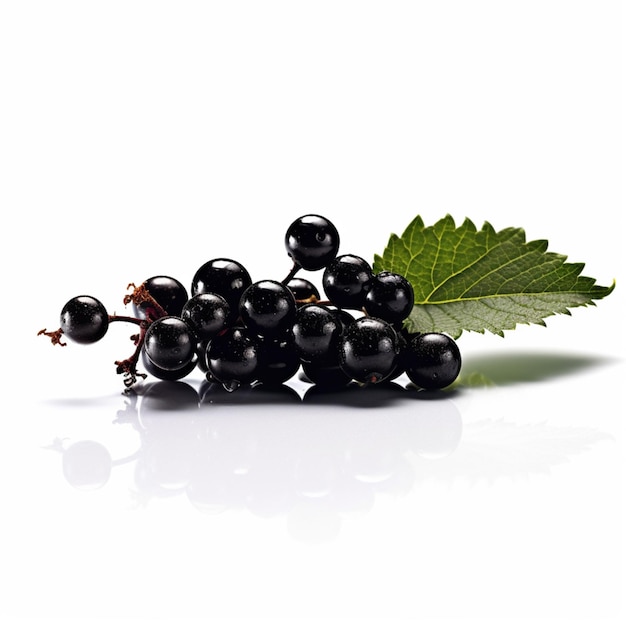 A bunch of black grapes with a green leaf on the side